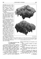 giornale/TO00174164/1936/unico/00000309