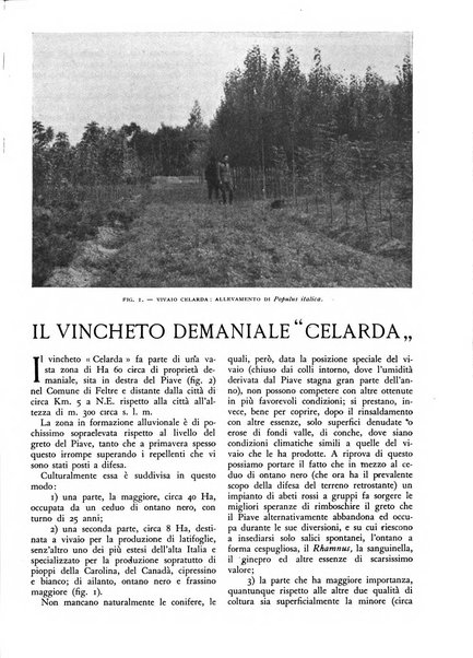 L'alpe rivista forestale italiana fondata dalla Società emiliana pro-montibus et sylvis