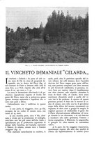 giornale/TO00174164/1936/unico/00000315