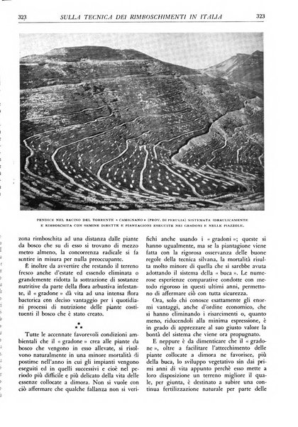 L'alpe rivista forestale italiana fondata dalla Società emiliana pro-montibus et sylvis