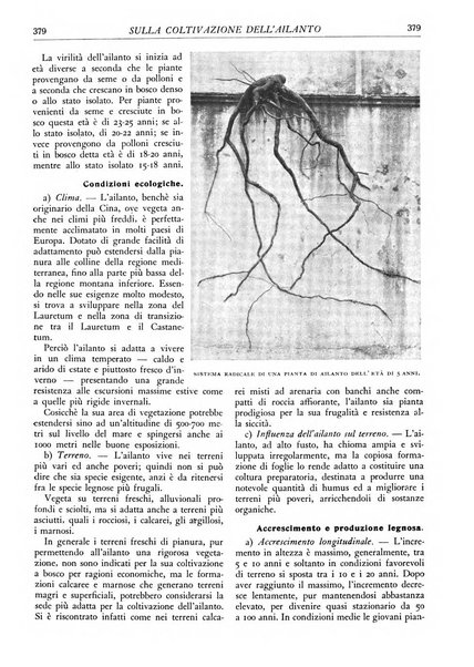 L'alpe rivista forestale italiana fondata dalla Società emiliana pro-montibus et sylvis