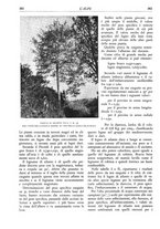 giornale/TO00174164/1936/unico/00000408