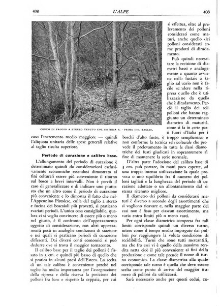 L'alpe rivista forestale italiana fondata dalla Società emiliana pro-montibus et sylvis