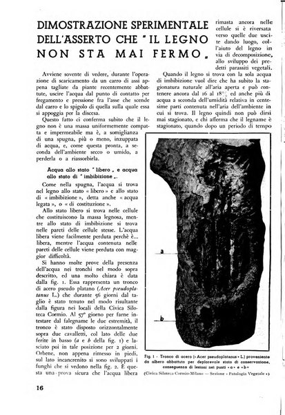 L'alpe rivista forestale italiana fondata dalla Società emiliana pro-montibus et sylvis