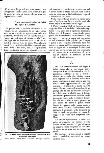 L'alpe rivista forestale italiana fondata dalla Società emiliana pro-montibus et sylvis