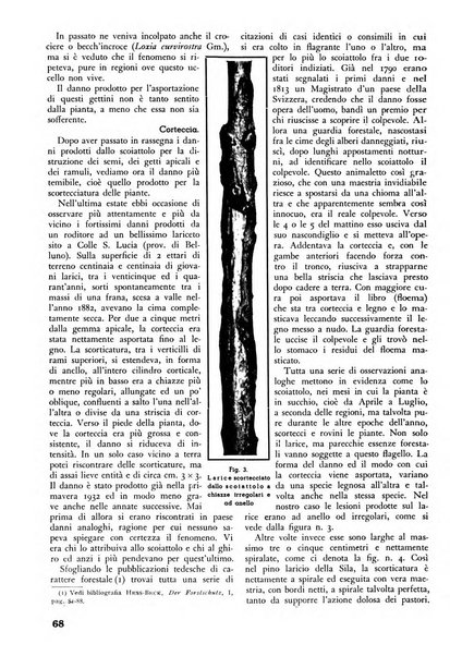 L'alpe rivista forestale italiana fondata dalla Società emiliana pro-montibus et sylvis