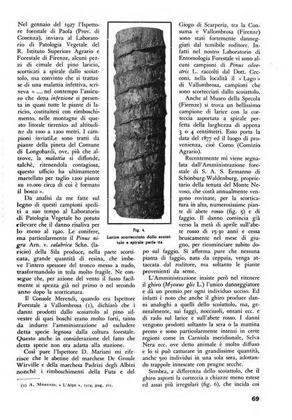 L'alpe rivista forestale italiana fondata dalla Società emiliana pro-montibus et sylvis