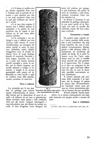 L'alpe rivista forestale italiana fondata dalla Società emiliana pro-montibus et sylvis