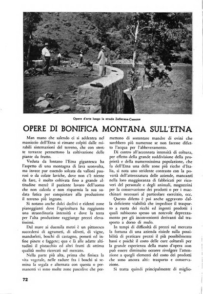 L'alpe rivista forestale italiana fondata dalla Società emiliana pro-montibus et sylvis