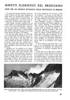 giornale/TO00174164/1937/unico/00000111