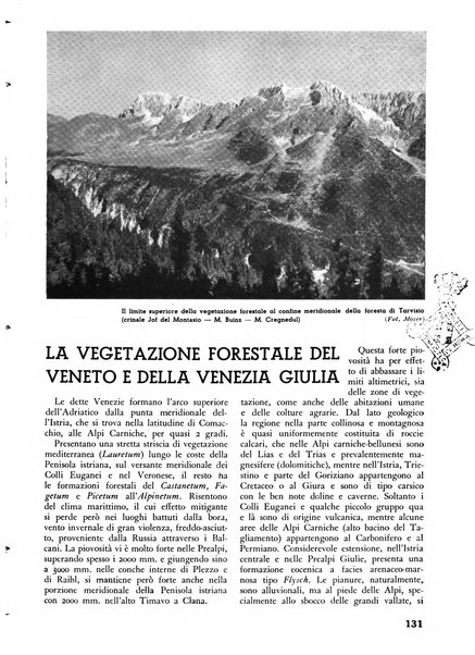 L'alpe rivista forestale italiana fondata dalla Società emiliana pro-montibus et sylvis