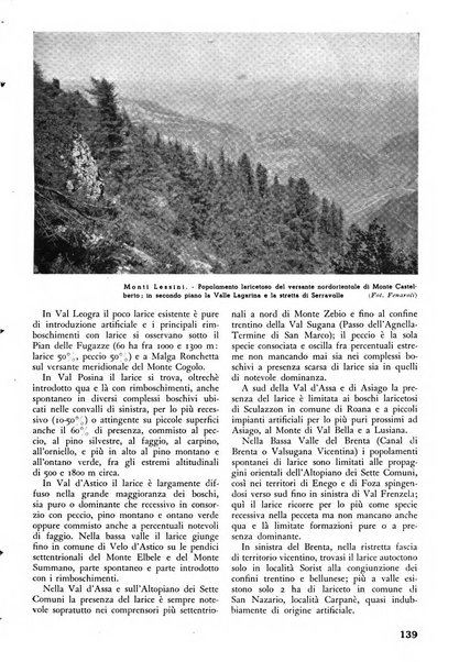 L'alpe rivista forestale italiana fondata dalla Società emiliana pro-montibus et sylvis