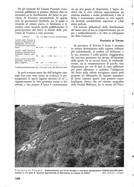 L'alpe rivista forestale italiana fondata dalla Società emiliana pro-montibus et sylvis