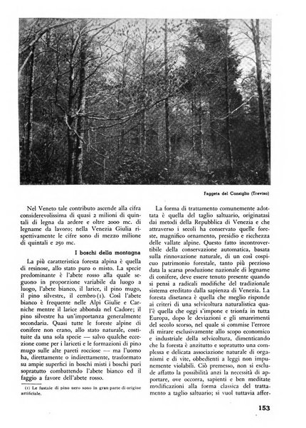 L'alpe rivista forestale italiana fondata dalla Società emiliana pro-montibus et sylvis