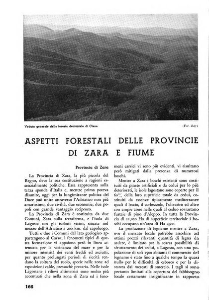 L'alpe rivista forestale italiana fondata dalla Società emiliana pro-montibus et sylvis