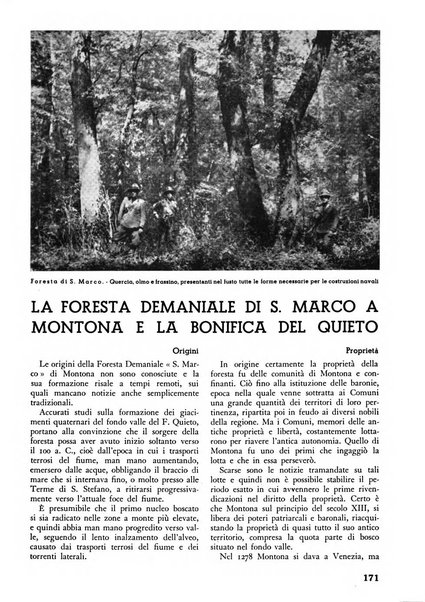 L'alpe rivista forestale italiana fondata dalla Società emiliana pro-montibus et sylvis