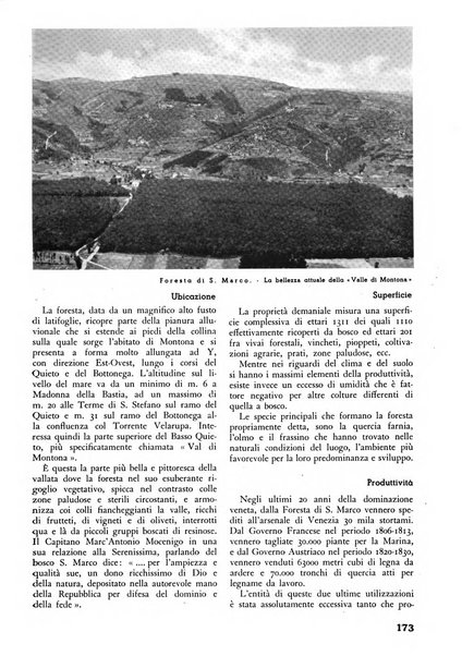 L'alpe rivista forestale italiana fondata dalla Società emiliana pro-montibus et sylvis