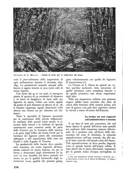 L'alpe rivista forestale italiana fondata dalla Società emiliana pro-montibus et sylvis