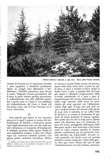 L'alpe rivista forestale italiana fondata dalla Società emiliana pro-montibus et sylvis