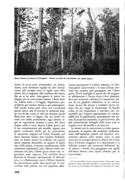 L'alpe rivista forestale italiana fondata dalla Società emiliana pro-montibus et sylvis