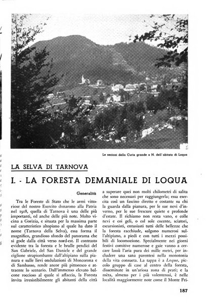 L'alpe rivista forestale italiana fondata dalla Società emiliana pro-montibus et sylvis