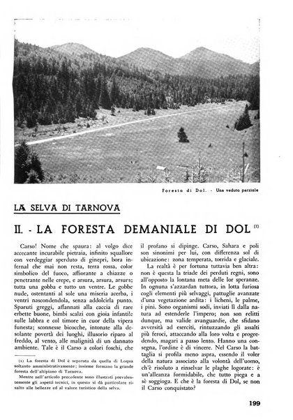 L'alpe rivista forestale italiana fondata dalla Società emiliana pro-montibus et sylvis