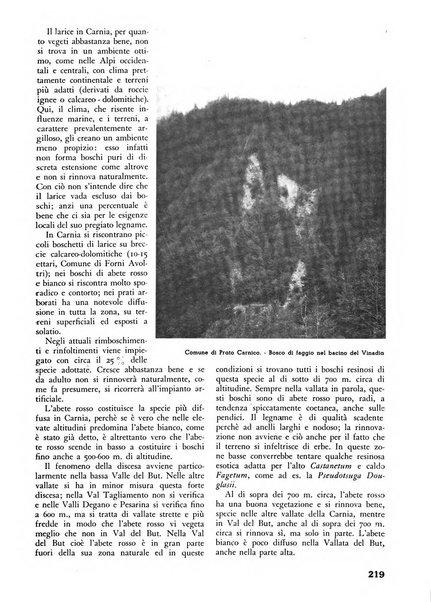 L'alpe rivista forestale italiana fondata dalla Società emiliana pro-montibus et sylvis