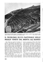 giornale/TO00174164/1937/unico/00000242