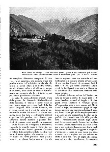 L'alpe rivista forestale italiana fondata dalla Società emiliana pro-montibus et sylvis