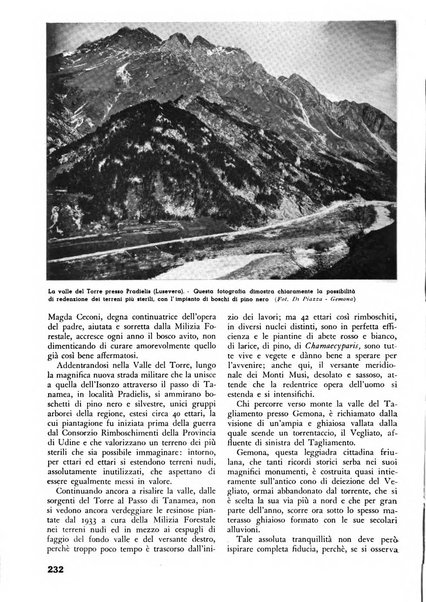 L'alpe rivista forestale italiana fondata dalla Società emiliana pro-montibus et sylvis