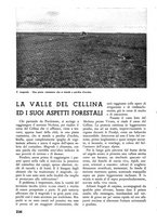 giornale/TO00174164/1937/unico/00000254
