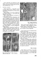 giornale/TO00174164/1937/unico/00000297