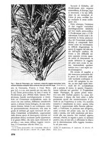 giornale/TO00174164/1937/unico/00000300