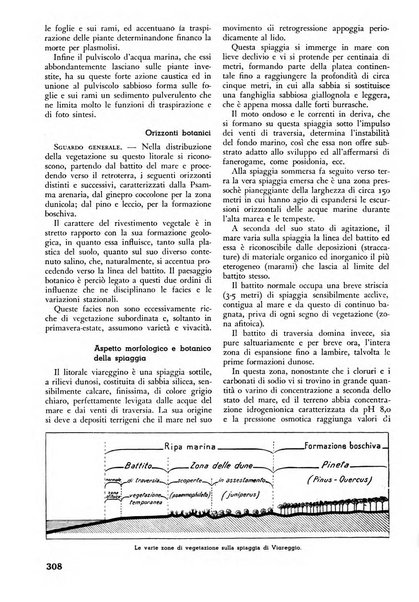 L'alpe rivista forestale italiana fondata dalla Società emiliana pro-montibus et sylvis