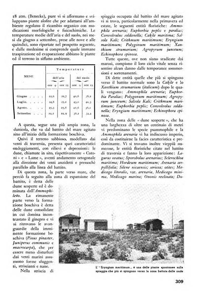 L'alpe rivista forestale italiana fondata dalla Società emiliana pro-montibus et sylvis