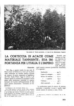 giornale/TO00174164/1937/unico/00000339