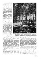 giornale/TO00174164/1937/unico/00000347