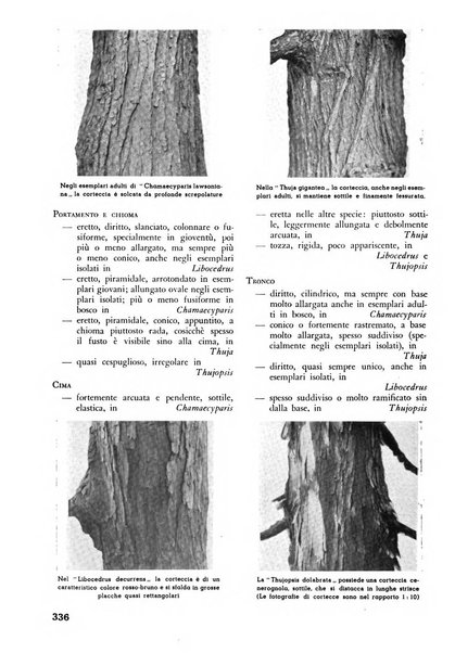 L'alpe rivista forestale italiana fondata dalla Società emiliana pro-montibus et sylvis