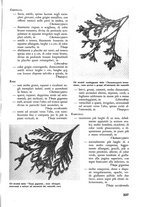 giornale/TO00174164/1937/unico/00000363