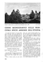 giornale/TO00174164/1937/unico/00000448