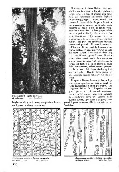 L'alpe rivista forestale italiana fondata dalla Società emiliana pro-montibus et sylvis