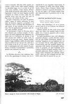 giornale/TO00174164/1937/unico/00000461