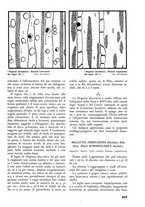 giornale/TO00174164/1937/unico/00000471