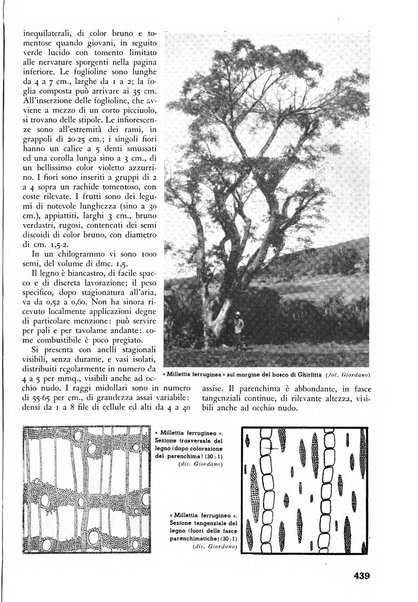 L'alpe rivista forestale italiana fondata dalla Società emiliana pro-montibus et sylvis