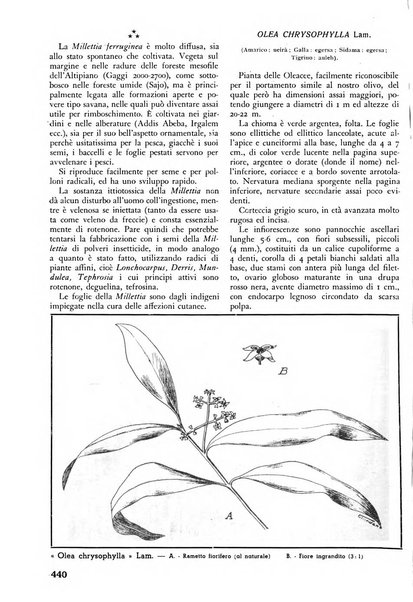 L'alpe rivista forestale italiana fondata dalla Società emiliana pro-montibus et sylvis