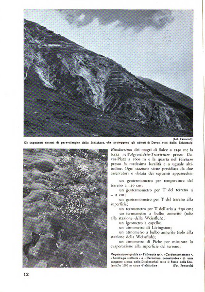 L'alpe rivista forestale italiana fondata dalla Società emiliana pro-montibus et sylvis