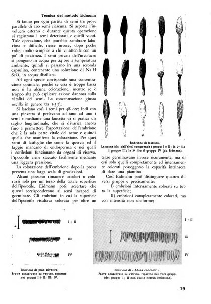 L'alpe rivista forestale italiana fondata dalla Società emiliana pro-montibus et sylvis