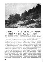 giornale/TO00174164/1938/unico/00000056