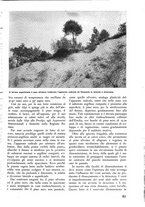 giornale/TO00174164/1938/unico/00000061