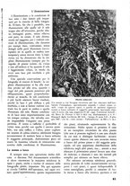 giornale/TO00174164/1938/unico/00000071